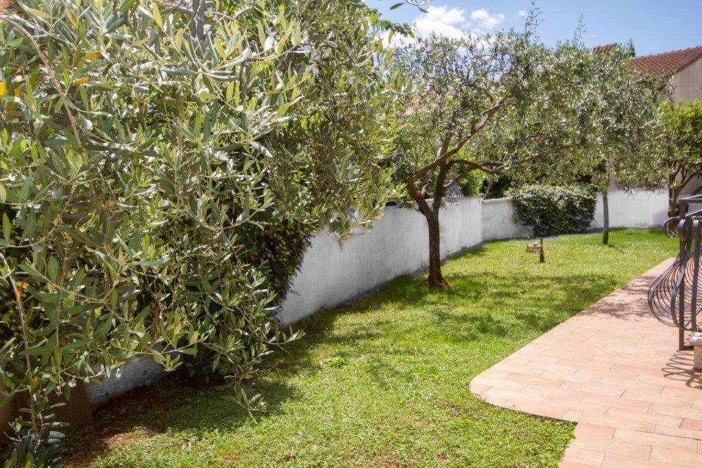 Villa Sveta Eufemija Bed End Breakfast I ロヴィニ エクステリア 写真
